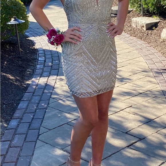 Prom/Formal Dress - Picture 4 of 5